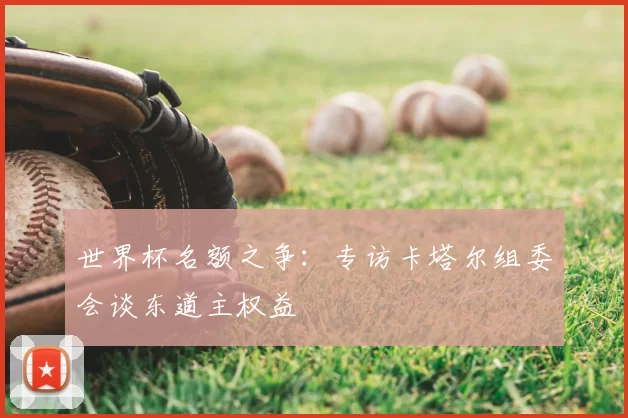 世界杯名额之争：专访卡塔尔组委会谈东道主权益