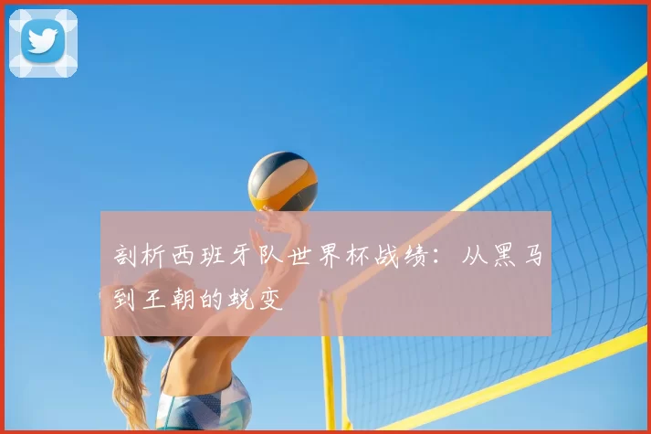 剖析西班牙队世界杯战绩：从黑马到王朝的蜕变