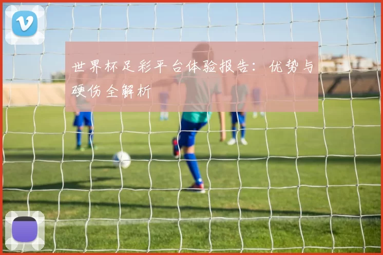世界杯足彩平台体验报告：优势与硬伤全解析