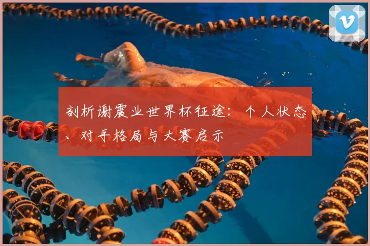 剖析谢震业世界杯征途：个人状态、对手格局与大赛启示