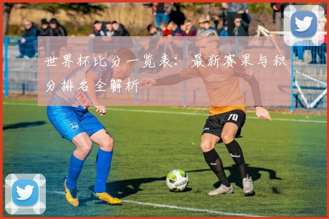 世界杯比分一览表：最新赛果与积分排名全解析