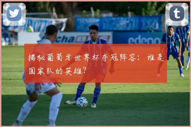 揭秘葡萄牙世界杯夺冠阵容：谁是国家队的英雄？