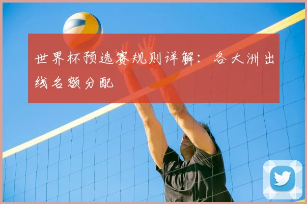 世界杯预选赛规则详解：各大洲出线名额分配
