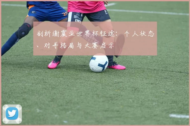 剖析谢震业世界杯征途：个人状态、对手格局与大赛启示