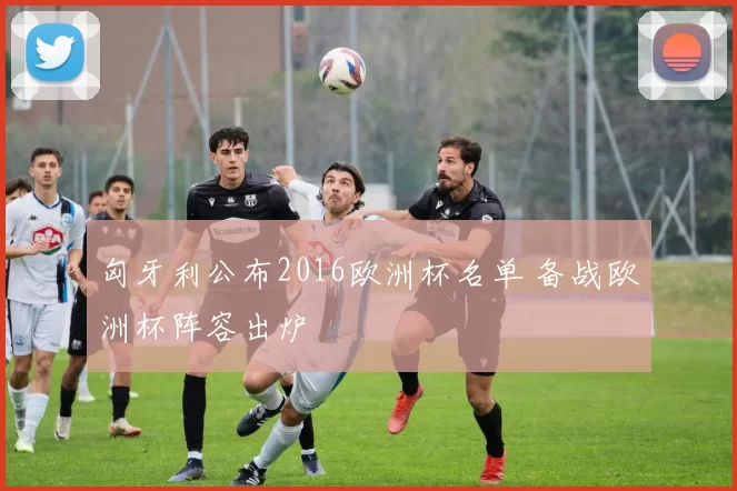 匈牙利公布2016欧洲杯名单 备战欧洲杯阵容出炉