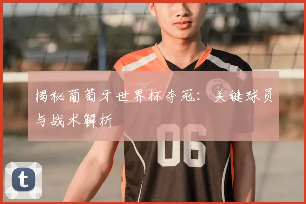 揭秘葡萄牙世界杯夺冠：关键球员与战术解析