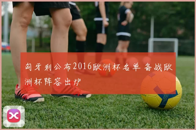 匈牙利公布2016欧洲杯名单 备战欧洲杯阵容出炉